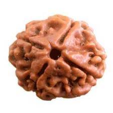 fbangalore our face rudraksha